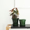 Copenhagen glazed 16, green emerald