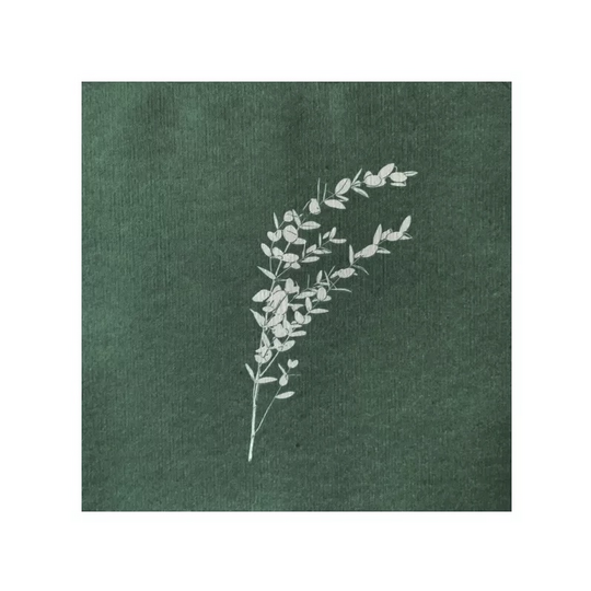 Eucalyptus, servetti