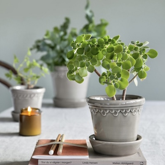 Copenhagen glazed 14, pearl grey