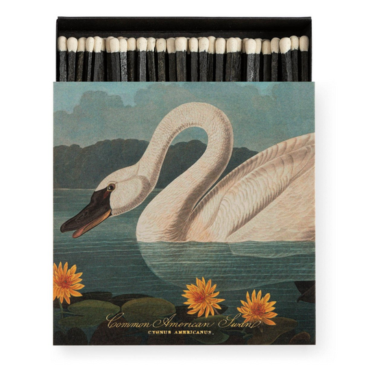 The common American swan , tulitikut