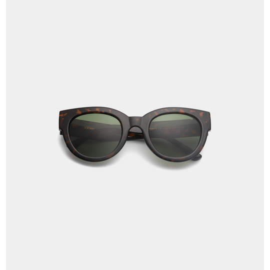 Lilly, Demi Tortoise - Image 2