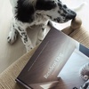 Resident Dog - Image 3