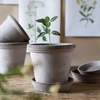 Flora 14, grey