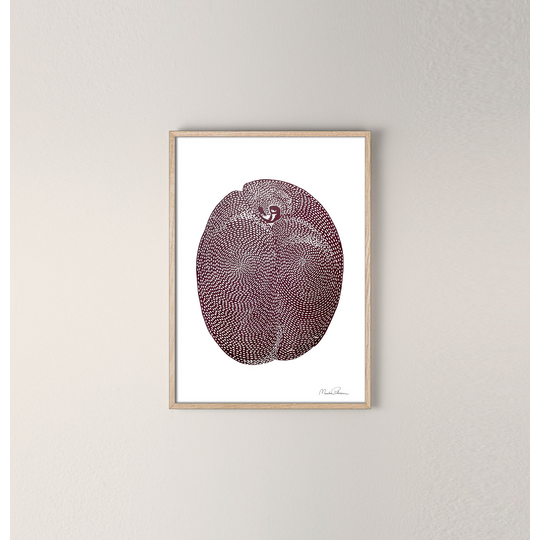 Plum, A5