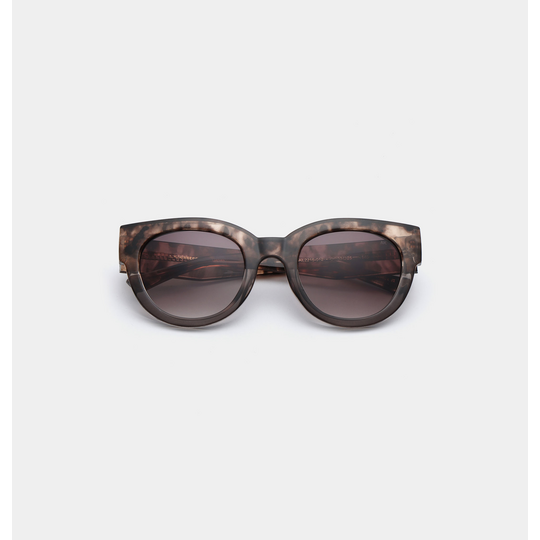 Lilly, Coquina - Image 2