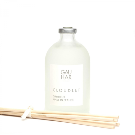 Cloudlet, diffuser - Image 2