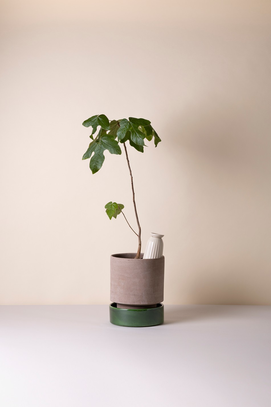 Cove Sand, kastelija - Image 4